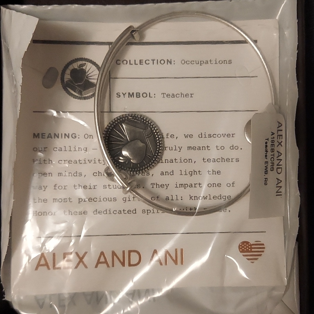 Alex And Ani silver bracelet